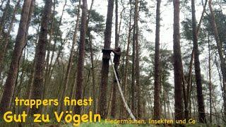 Gut zu Vögeln, Fledermäusen, Insekten und Co