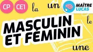 Masculin et féminin CP - CE1 - Cycle 2 - Français : étude de la langue - FLE