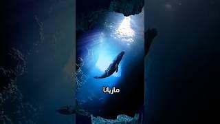 كنت تعرف؟  #المحيط #معلومات #معلومات_عامة #معلومات_سريعة #ocean #information