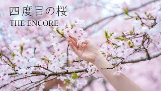 THE ENCORE - 四度目の桜 [Official Music Video]