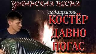 Цыганская песня под гармонь КОСТЁР ДАВНО ПОГАС исполняет Алексей Кракин