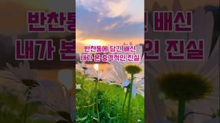 반찬통에 담긴 배신 내가   본 충격적인 진실