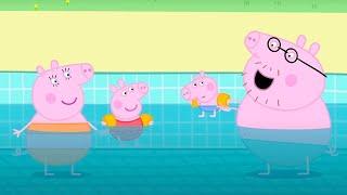 Heo Peppa | Bơi lội | Phim Hoạt Hình Cho Trẻ Em