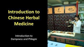 Dampness and Phlegm in Traditional Chinese Medicine