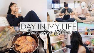 A Day In Quarantine Vlog: Grocery Haul, Cook With Me, Things To Do