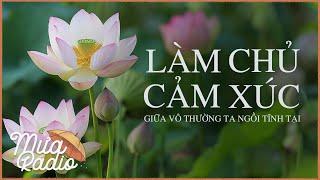 LÀM CHỦ CẢM XÚC - Giữa Vô Thường Ta Ngồi Tĩnh Tại - Mưa Radio