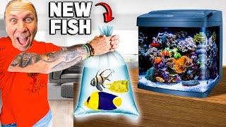 Getting New Fish For My Salt Water Aquarium!