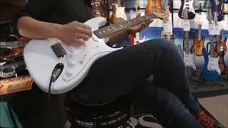 Paul Reed Smith Silver Sky -Frost- 【John Mayer Signature Model】