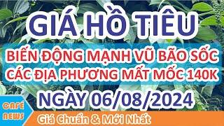 Giá hồ tiêu hôm nay ngày 06/08/2024 | Giá Tiêu Biến Động Đồng Loạt Các Địa Phương