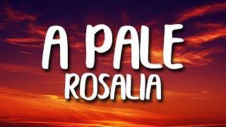 ROSALÍA - A Palé (Letra)