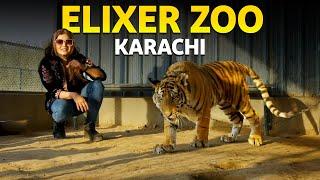 Exploring the Karachi's Hidden Wildlife Paradise | Hello Karachi | Discover Pakistan