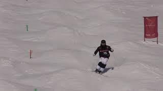 Dylan Marcellini FIS Nordic Open Are, Sweden Duals Qualificaiton Freestyle Moguls April 14 2019