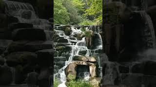 What a lovely waterfall