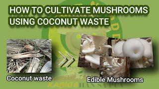 Utilization of Coconut Based Materials for Mushroom Cultivation