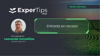 Expertips: Entrada en receso