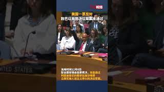 美国一票反对致巴以局势决议草案未通过