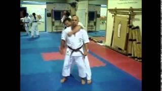 Karate and Koryu Uchinadi Kenpo Jutsu Comparison