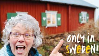 How did I buy a house in Sweden for £20k ? | My Swedish cottage 