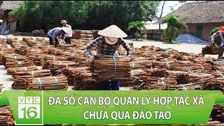 Đa số cán bộ quản lý Hợp tác xã chưa qua đào tạo | VTC16