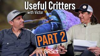 Victor Shares His Top 10 Most Useful Reef Tank Critters!