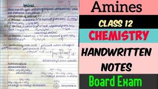 Amines Class 12 Chemistry |Handwritten Notes |Board Exam |ChemiStudious