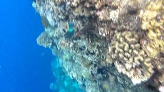 мой подводный мир