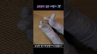 [호호엄빠] 9년만의 #해외여행 ! #료칸 에서 무슨일이? 