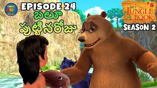 జంగిల్ బుక్ తెలుగు SEASON 2 Episode 24 - బలూ పుట్టినరోజు | FULL EPISODE | తెలుగులో మోగ్లీ కథ