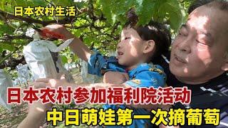 【團子姐日本生活】受日本小叔子邀請，一家五口參加福利院活動，大輝第一次摘葡萄開心壞了！