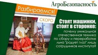 Когда наша техника по переработке льна зашумит на полях и застучит на заводах?