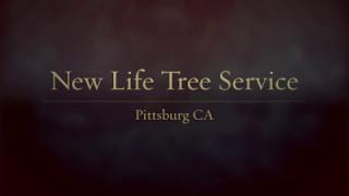 New Life Tree Service