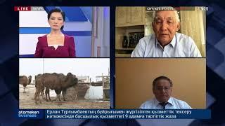 ШҰБАТ ӘЛДЕ МҰНАЙ? ТҮЙЕ ШАРУАШЫЛЫҒЫНЫҢ БОЛАШАҒЫ