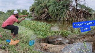 TRADITIONAL FLOAT FISHING For Catfish IN The Village "Single Hook float Fishing Techniques "