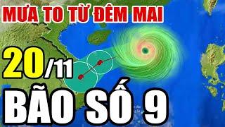 Dự báo thời tiết hôm nay và ngày mai 20/11/2024 | Dự báo thời tiết trong 3 ngày tới