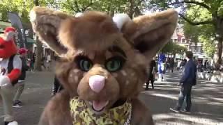 Halloween furwalk Zwolle 2018