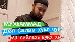 Хаз дицар /Дел Аьлчанни, 1утбатани хил долу къамаьл / Ахмадов Турпал.