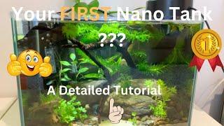 Your First Nano Tank - A Detailed & Step by Step Tutorial
