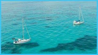 77. Guess Who We're Spearfishing With!!! | Learning the Lines