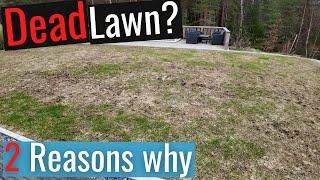 Dead Lawn? Here are 2 reasons why and 2 solutions!