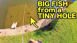 Try this INSANE URBAN FISHING TRICK!! (IT WORKS)