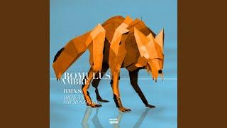 Ambre (Original Mix)