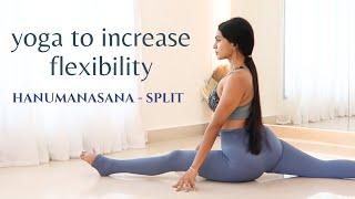 Yoga Asanas For Flexibility | How to Split | Hanumanasana | Stretch & Flexibility Routine