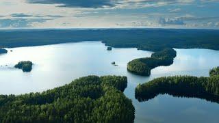 Green nature and happiness in the Jyväskylä Region  | Visit Jyväskylä Region