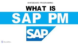 What is SAP PM Explained | Introduction to SAP PM Overview & Basics