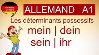   mein , dein, sein | Les déterminants possessifs en allemand