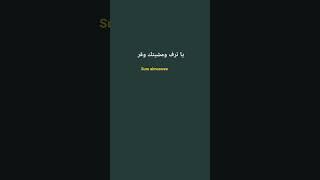 الحسين مصباح الهدى وسفينة النجاة