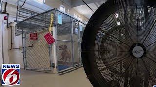 Central Florida's extreme heat dangerous for people, pets