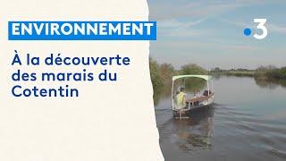 A la découverte des marais du Cotentin