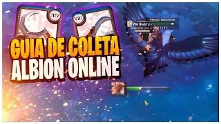 GUIA DE COLETA - Albion Online