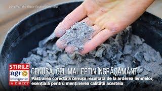 Cenusa, cel mai ieftin îngrășământ natural